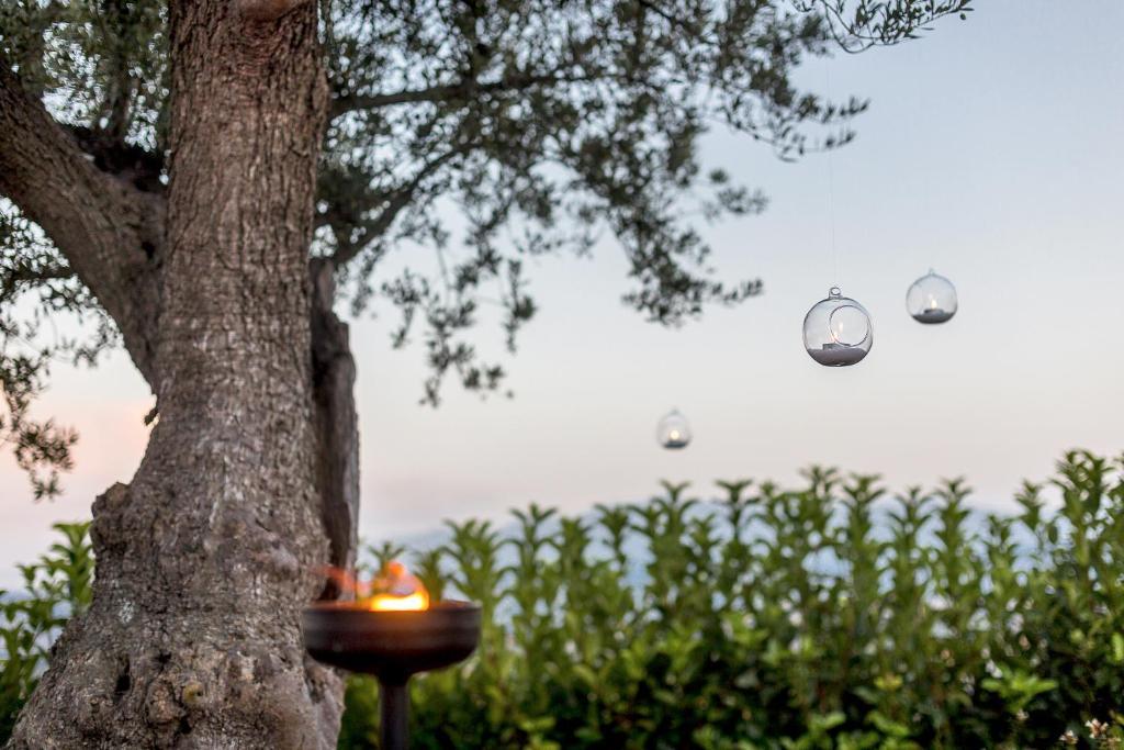 Casale Santa Maria Country House Mosciano SantʼAngelo Eksteriør bilde